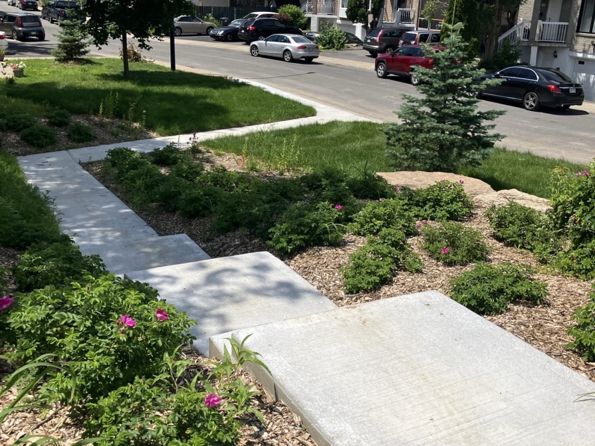 Chemin en ciment traversant la micro-forêt dans Montréal-Nord