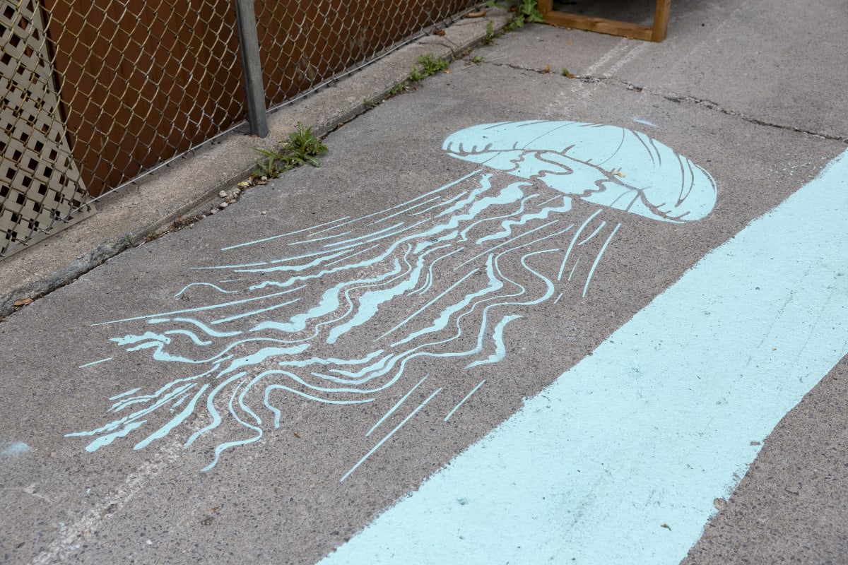 Marquage au sol d'une méduse