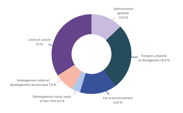 Graphique circulaire démontrant la proportion du budget par famille d'activité