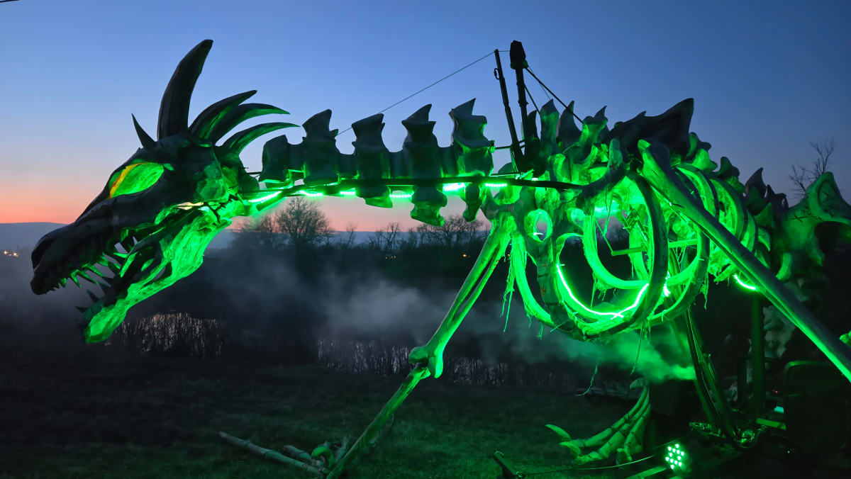dragon illuminé