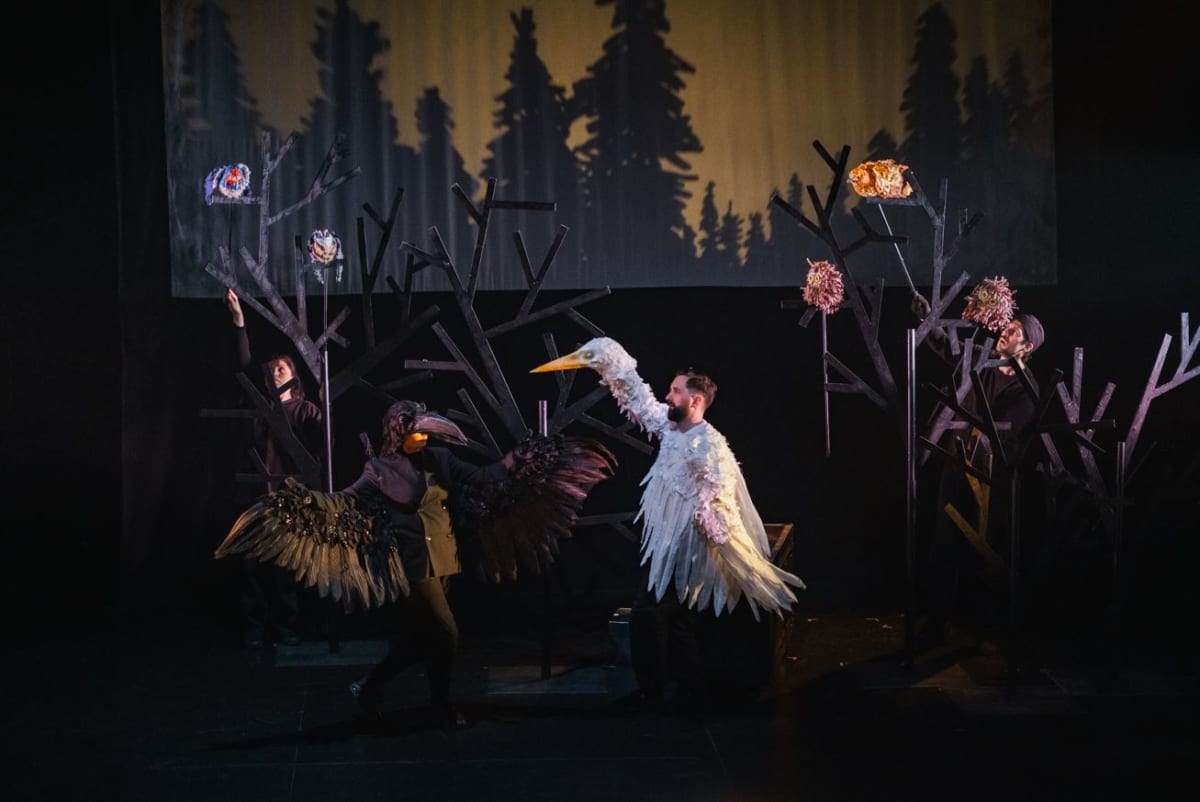 Ce Que Cache La Foret - Ombres folles_Centre Sanaaq