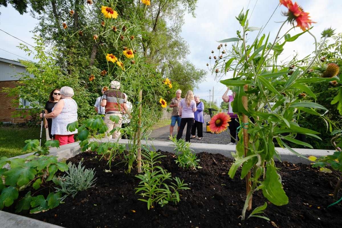 Des bacs à fleurs ont été ajoutés aux entrées de la ruelle