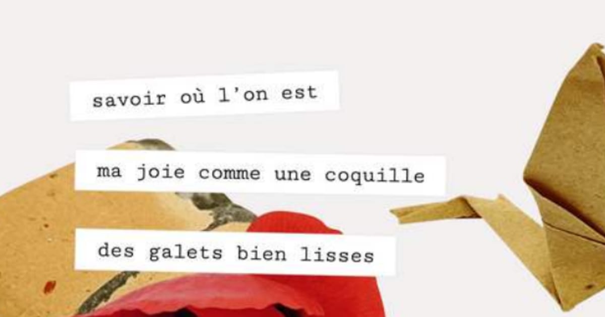 AV POESIA : Trouve ton poème