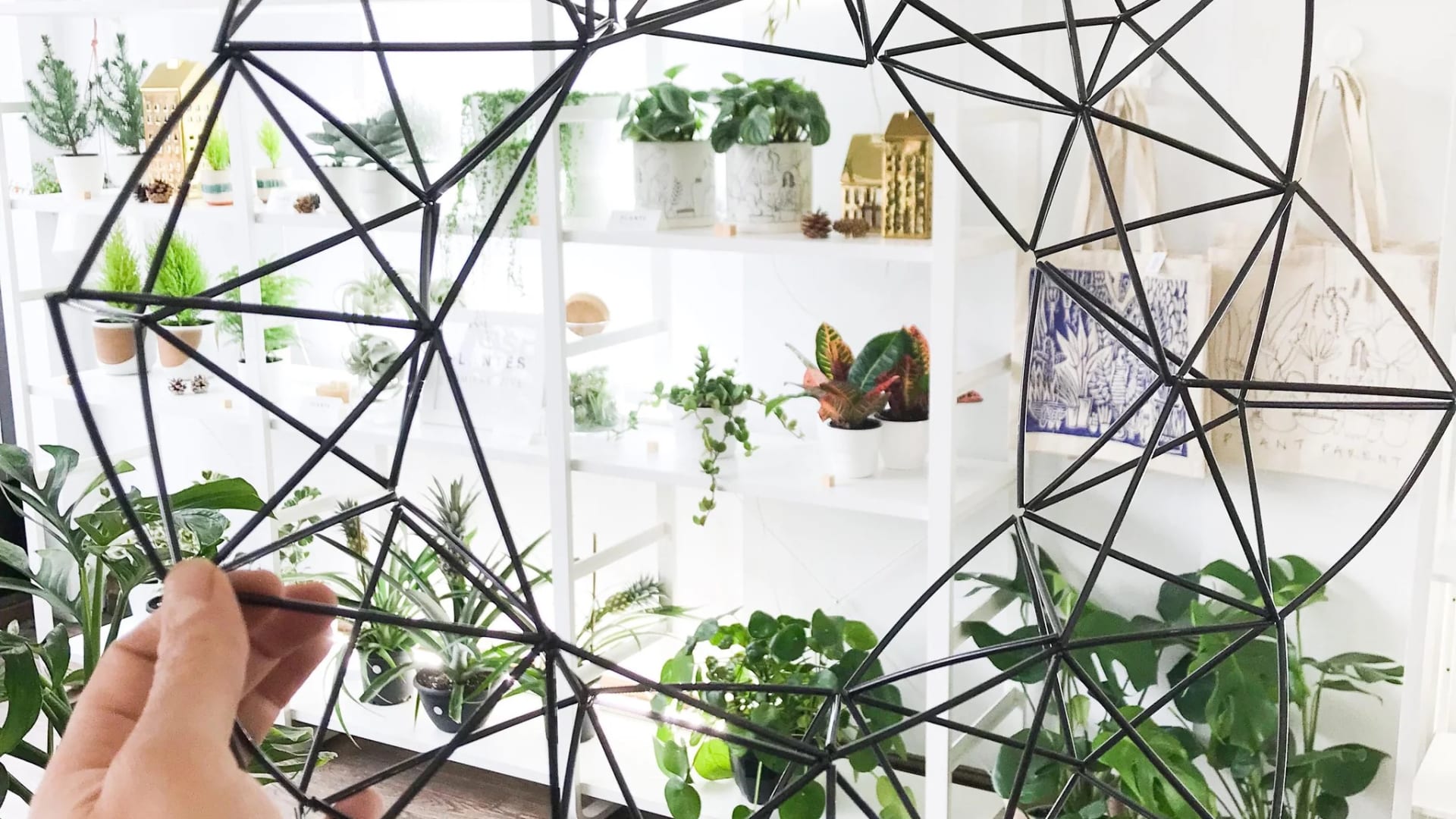 Atelier créatif : Couronne d’himmeli