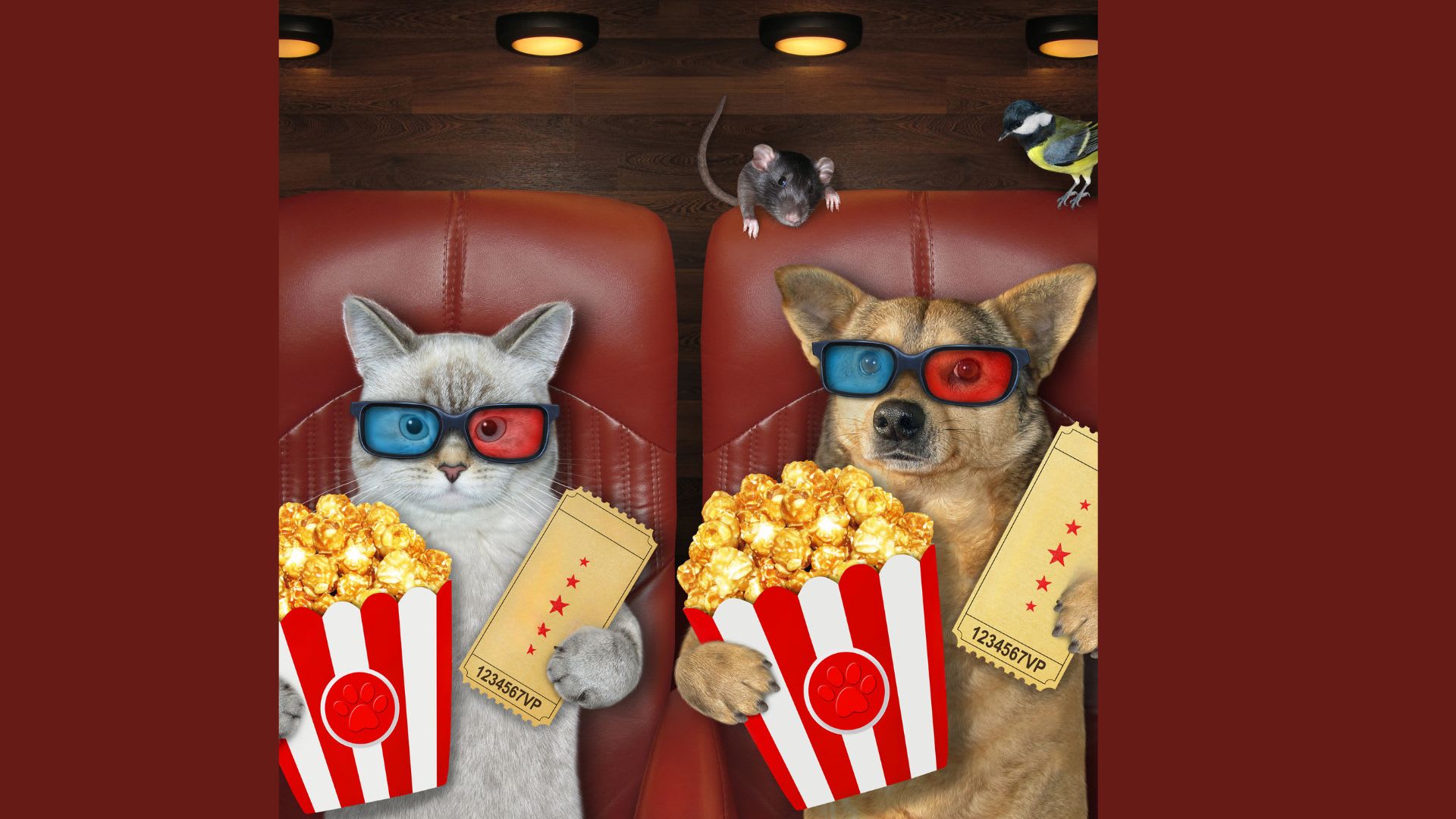 Ciné-jeunes : Ma belle-mère est une sorcière