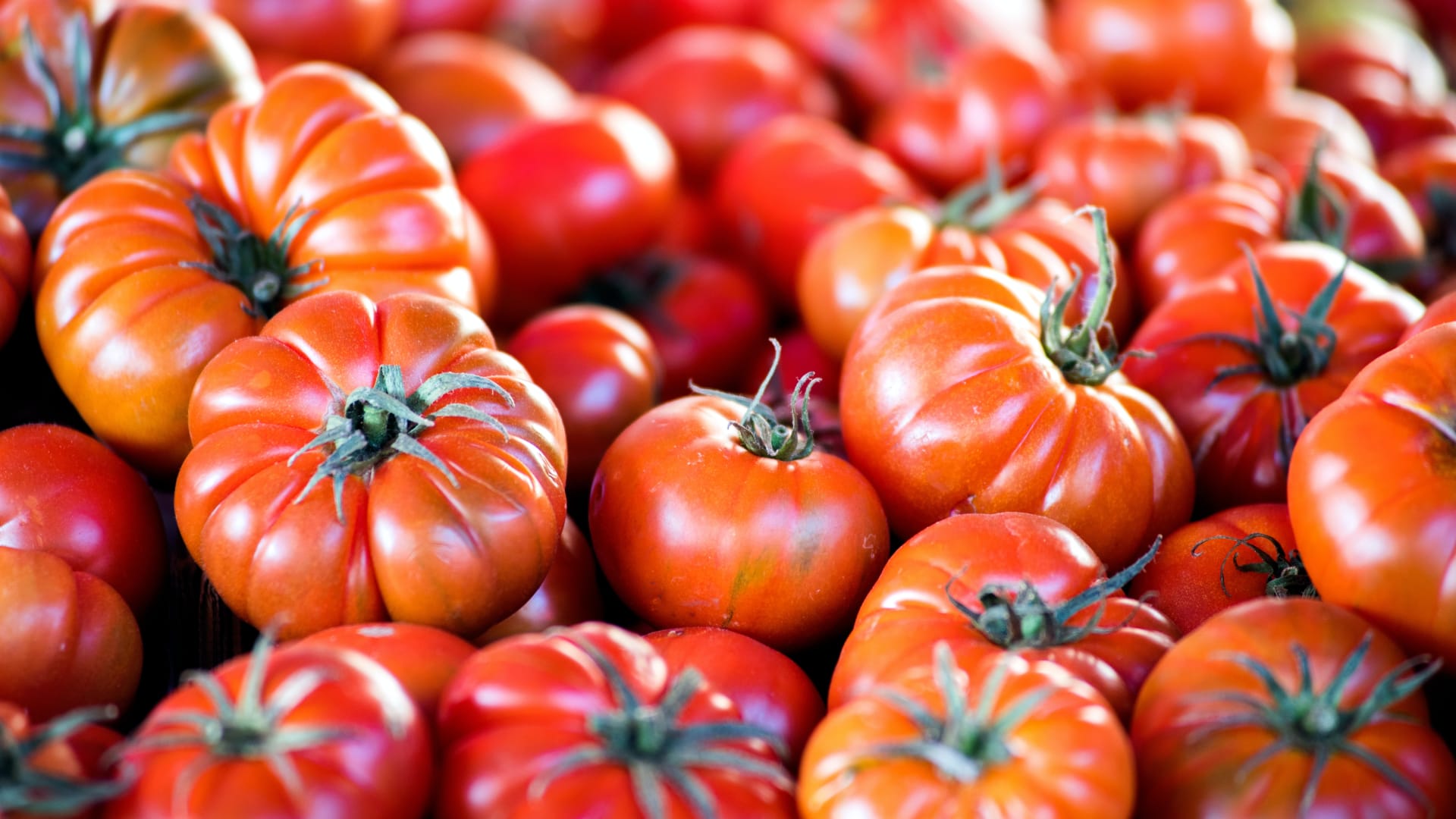 Saint-Louis Farmers' Market
