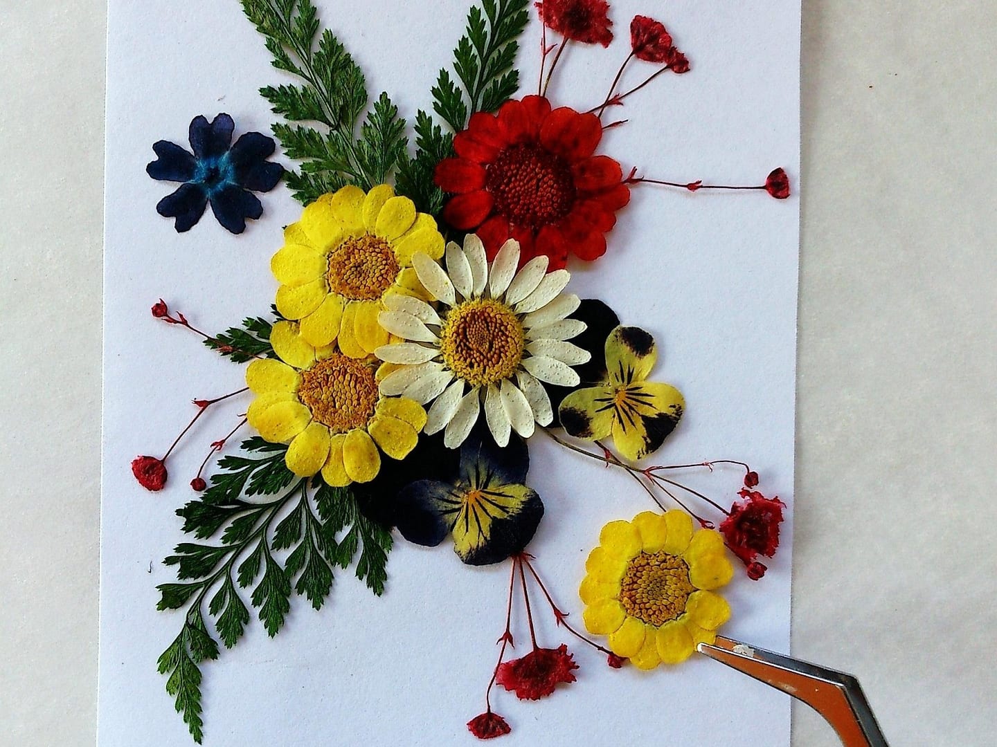 Atelier créatif: cadre floral poétique avec Studio Creazen