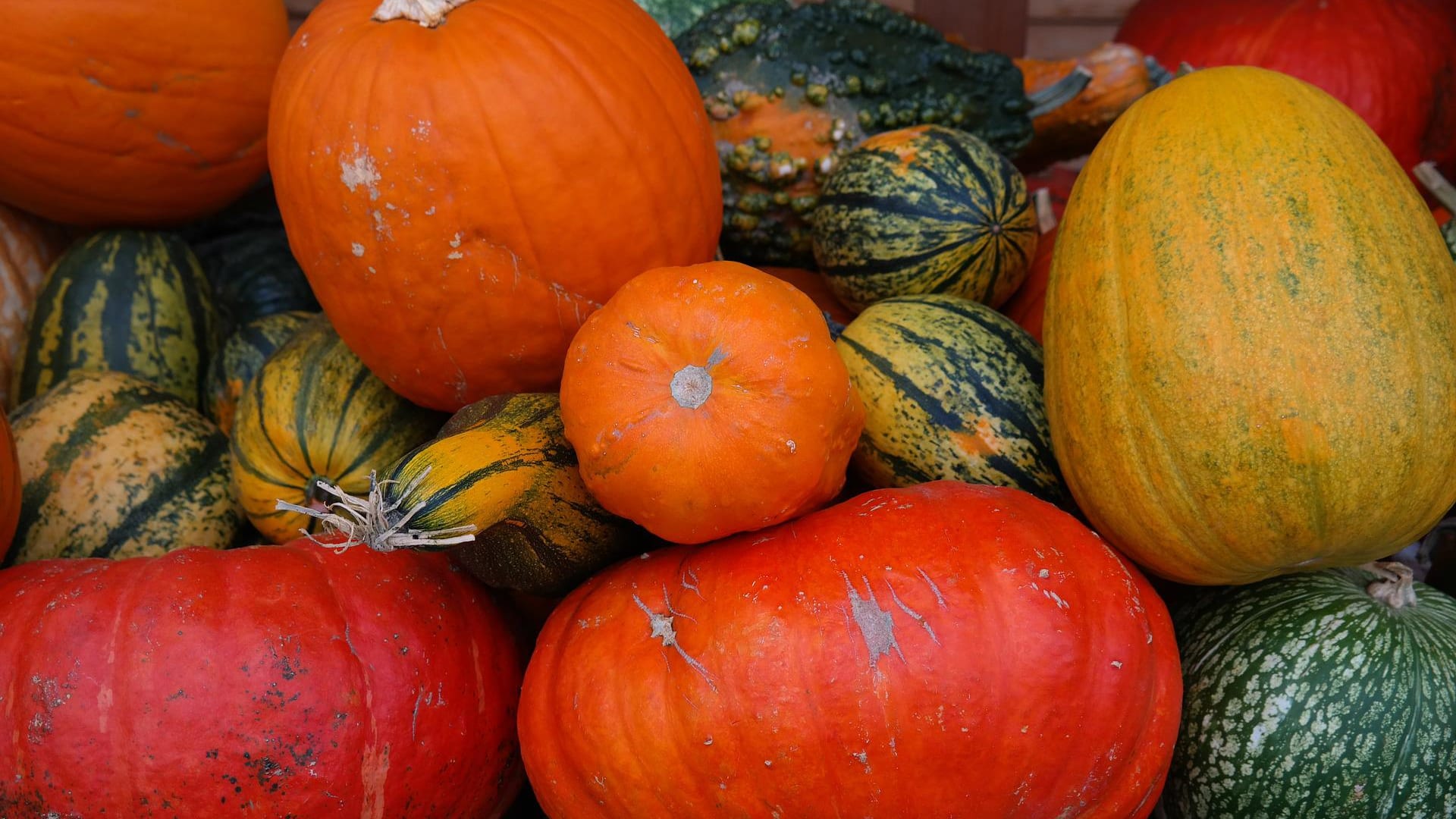 Les courges