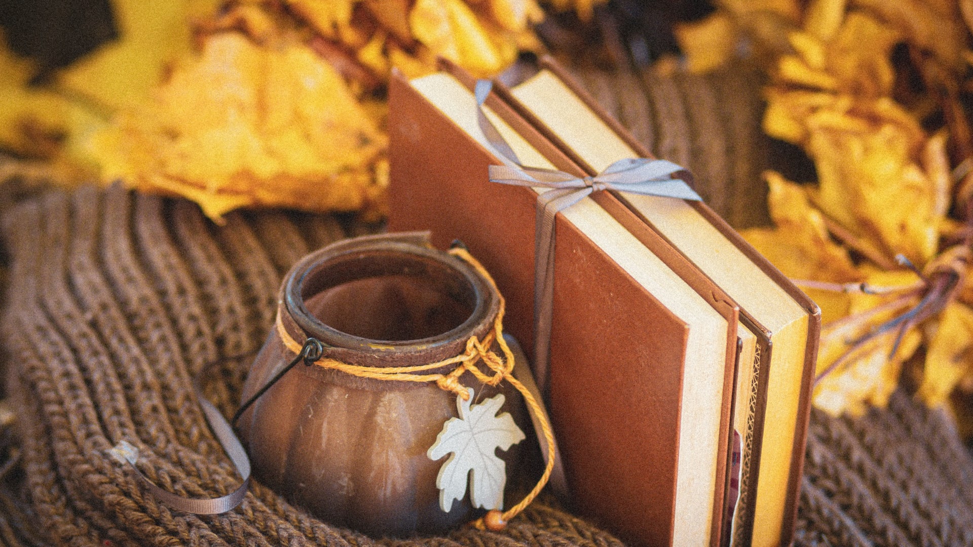 Club de lecture en anglais (Du Boisé Book Club)