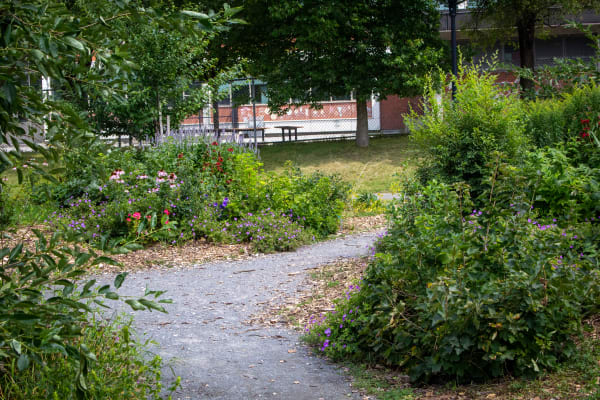 Jardin nourricier Saint-Simon-Apôtre - plan large