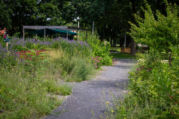 Jardin nourricier Marcelin-Wilson nord - plan large