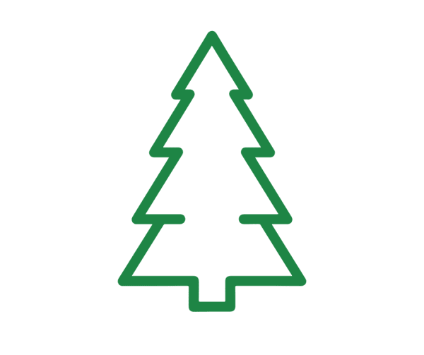 Sapin de Noël Anjou