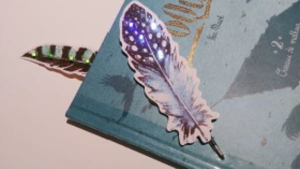 Plume TD