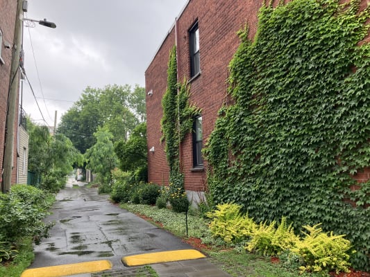 Ruelle de Verdun