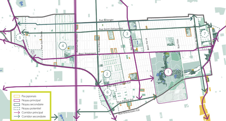 Plan des noyaux et des corridors de biodiversité de Rosemont-La Petite-Patrie