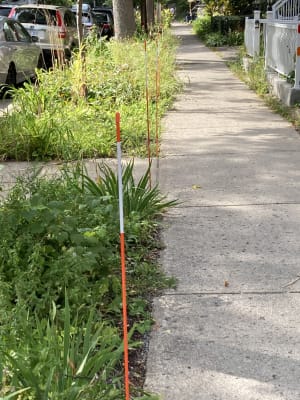 Piquets pour protéger les carrées d'arbres lors des opérations de déneigement