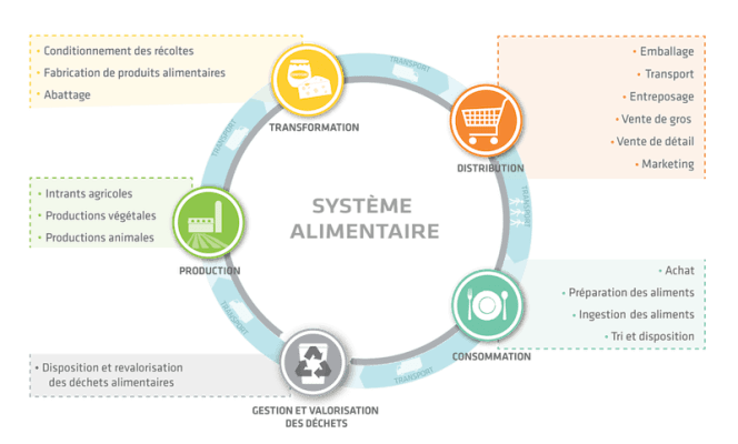 Diagramme du système alimentaire élaboré par Vivre en Ville : production, transformation, distribution, consommation, gestion et valorisation des déchets