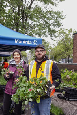 Employés du Sud-Ouest lors de la distribution des végétaux