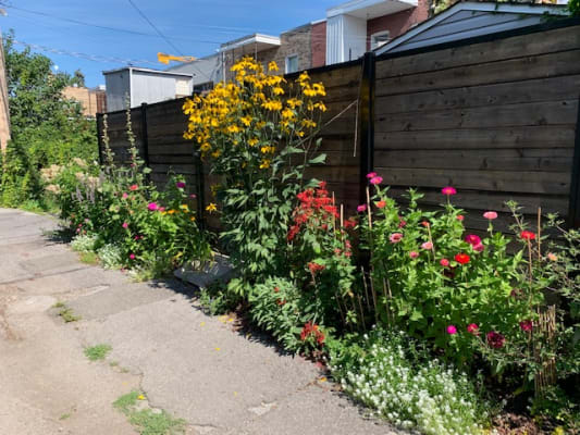 La ruelle verte La Promenade dans VSP