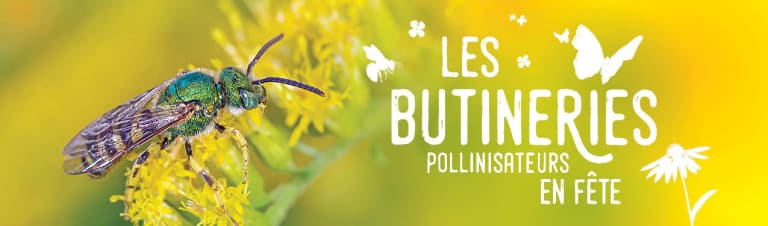 Célébration des pollinisateurs 22-23 juillet