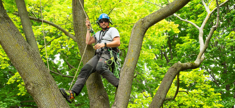 Marc-André, suspendu dans les arbres grâce aux câbles