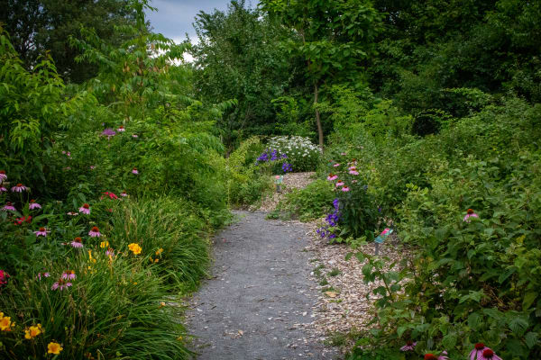 Jardin nourricier du parc De Salaberry