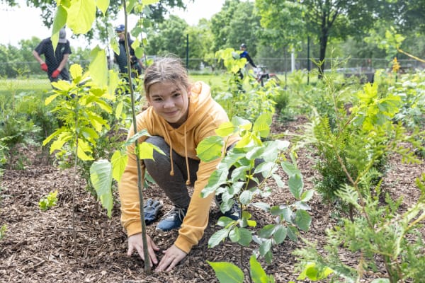 Plantation de la microforêt du parc Beaubien