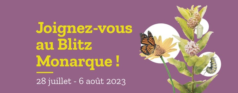 Bandeau inscrit Joignez-vous au Blitz Monarque, avec une image de monarque et d'asclépiade 