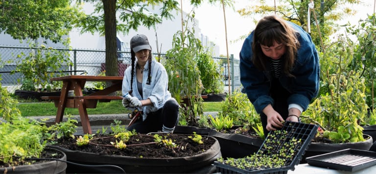 Mylène est animatrice horticole et Émilie est chargée de projets, toutes les deux au Carrefour alimentaire Centre-Sud