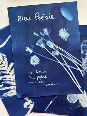 Des papiers imprimés au cyanotype