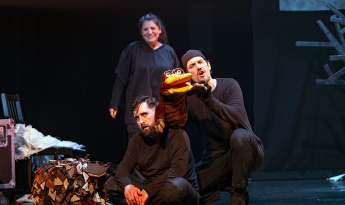 Ce Que Cache La Foret - Ombres folles_Centre Sanaaq