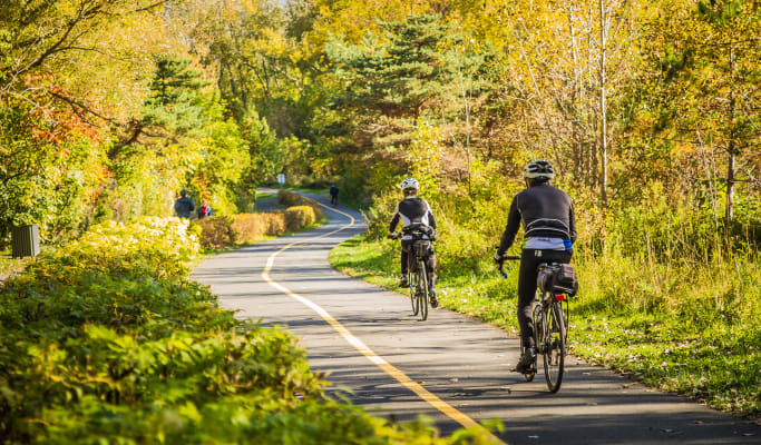 Balades à vélo