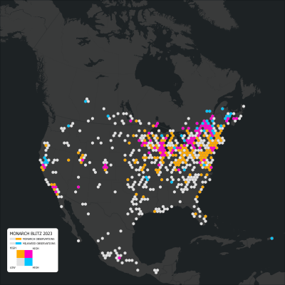 snapshot of the monarch breeding population