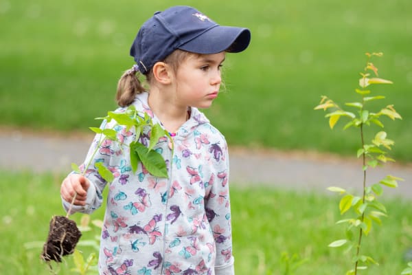 Microforêt au parc du Père-Marquette