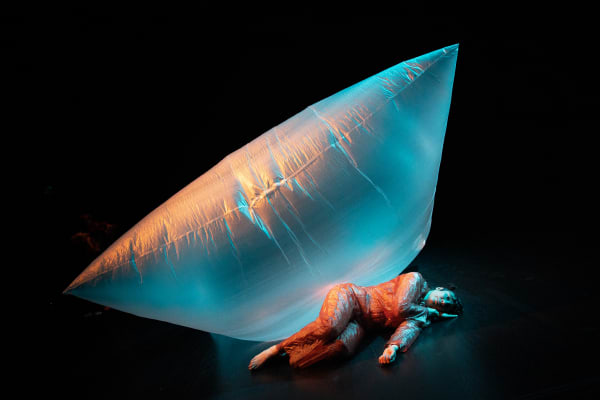  Incarnations transitoires - Céline Chevrier _Centre Sanaaq 