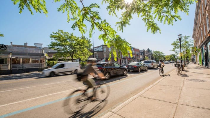 Two cyclists on an EBN bike path in the summer, located between parked cars and the sidewalk.