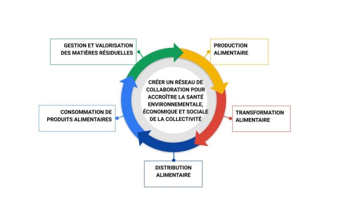 schéma illustrant le processus circulaire du système alimentaire 