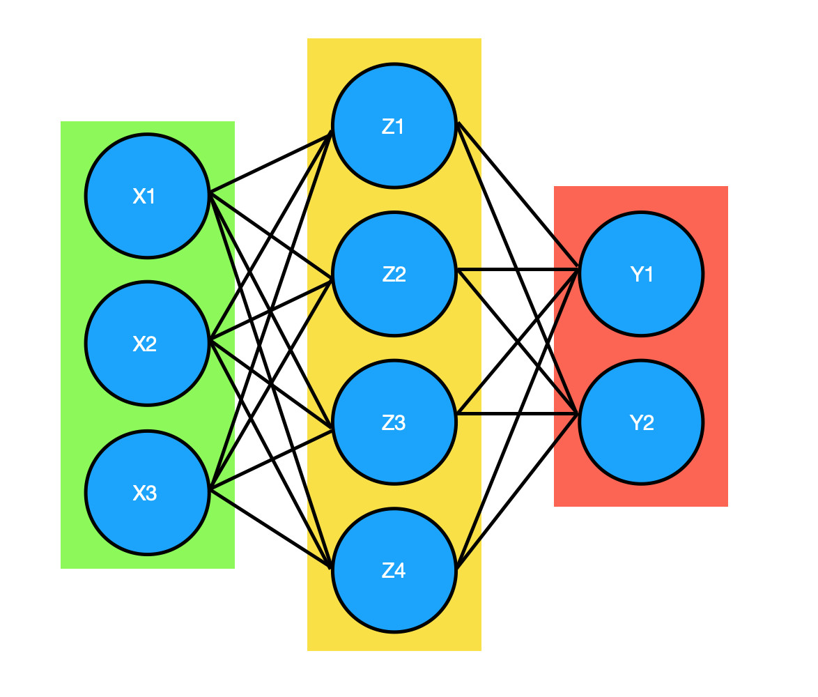 neuronal network 3