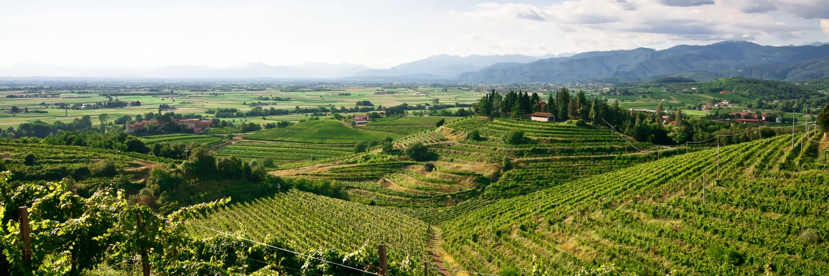 Collio i Friuli Venezia Giulia