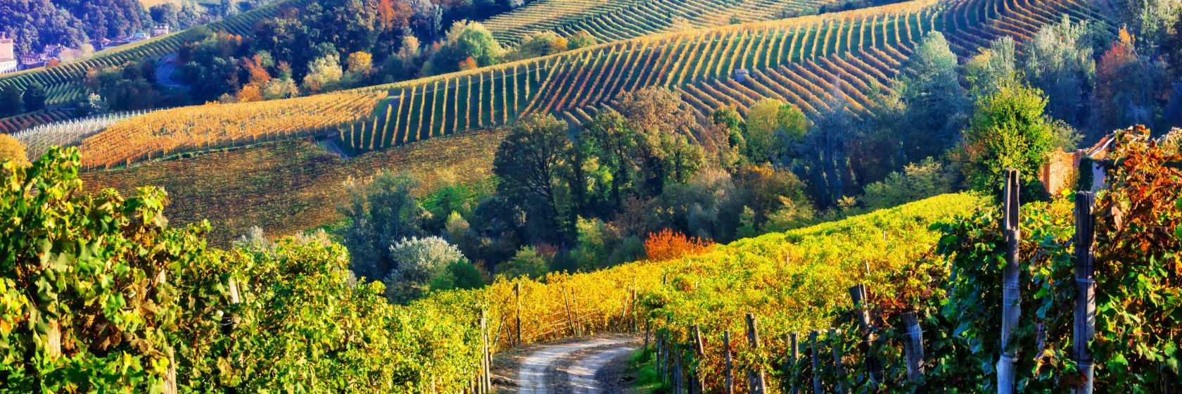 Vinmarker om efterret i Piemonte, Italien