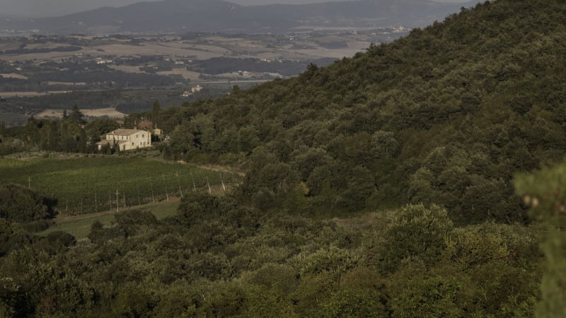 Villa Podere Monti, Montepulciano, Toscana