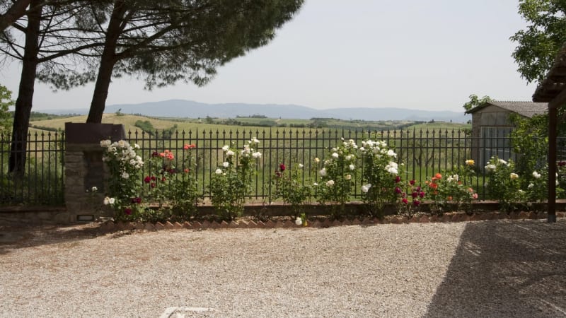 Poggio Martino i Toscana