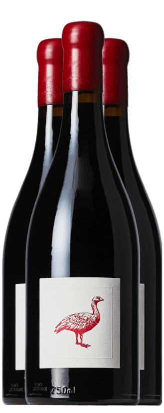 Price Drop: Cape Barren Rare Bird Shiraz 2018 (3pk – Wooden Box)