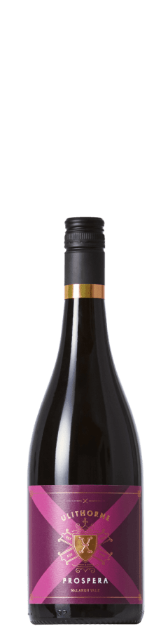 Unwrapped: Ulithorne Prospera Shiraz 2022