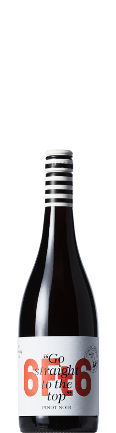 PRICE DROP: Austin's Wines 6ft6 Pinot Noir 2024