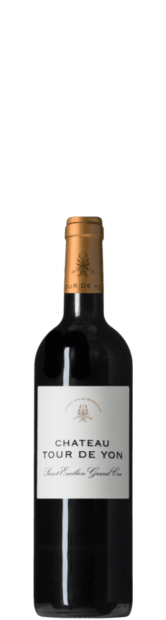 Château Tour de Yon St Emillon Grand Cru Merlot Blend 2020