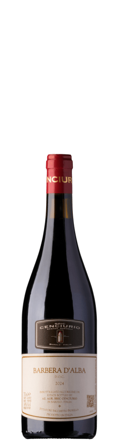 Bric Cenciurio Barbera d'Alba 2024