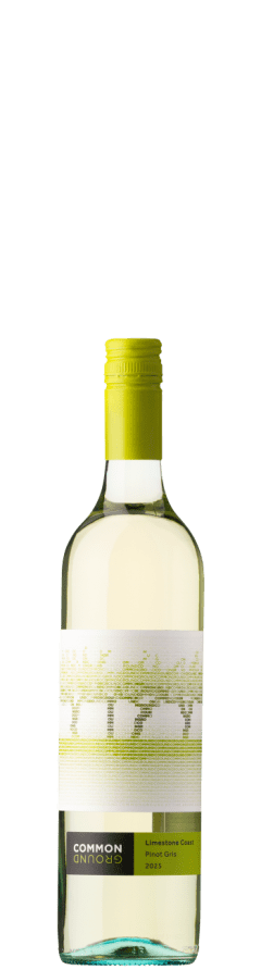 Common Ground Pinot Gris 2025