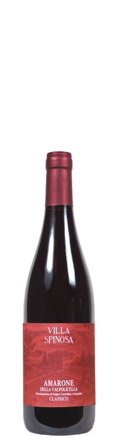 Villa Spinosa Amarone Della Valpolicella Classico DOCG Red Blend 2021