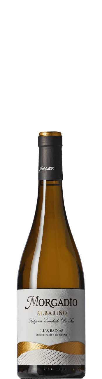 Morgadio Albariño 2021